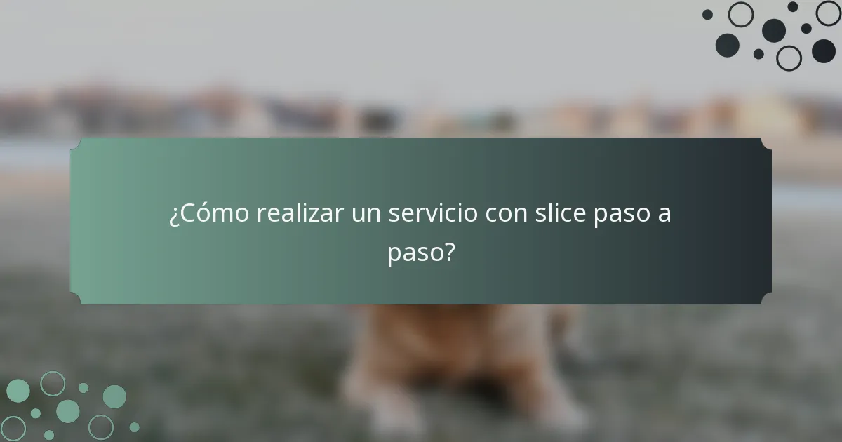 ¿Cómo realizar un servicio con slice paso a paso?