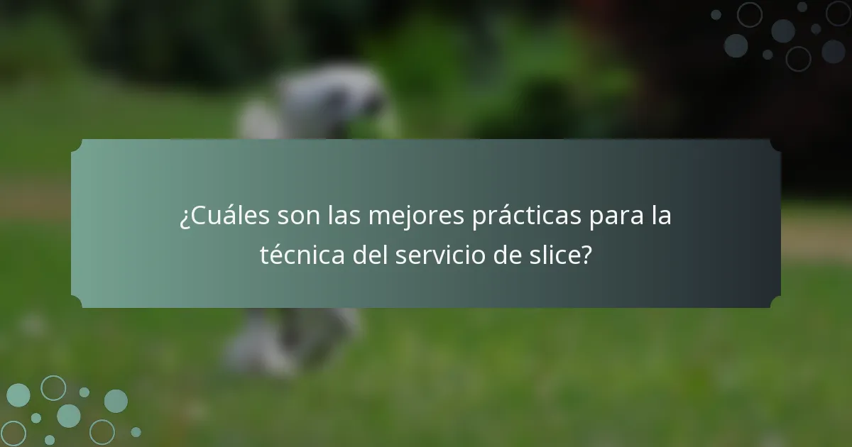 ¿Cuáles son las mejores prácticas para la técnica del servicio de slice?